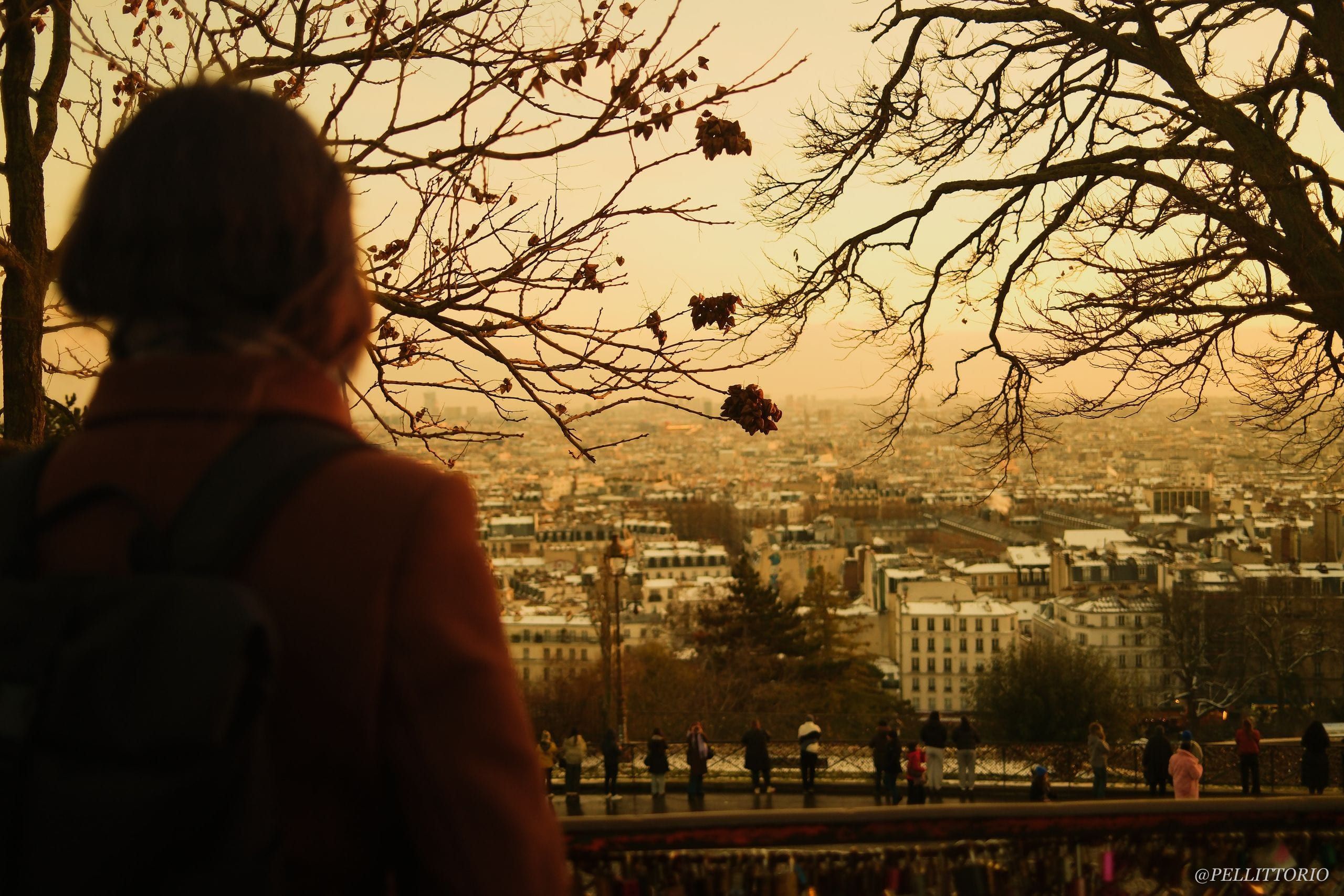 Vista sui tetti di Parigi da Montmartre