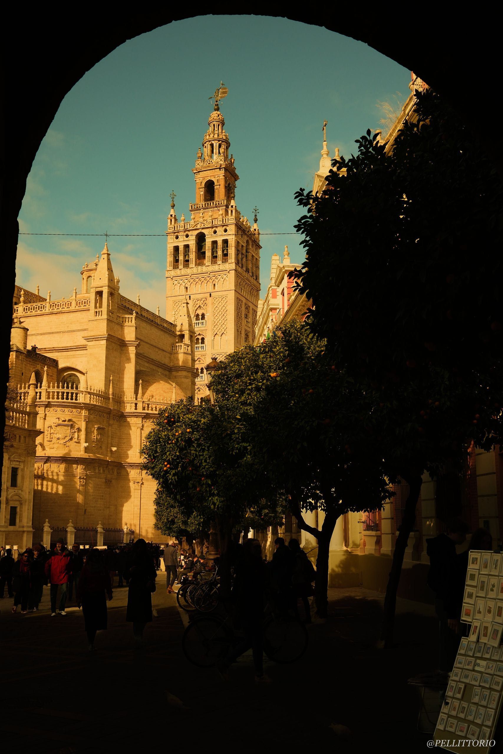 Torre della Giralda sopra gli aranci