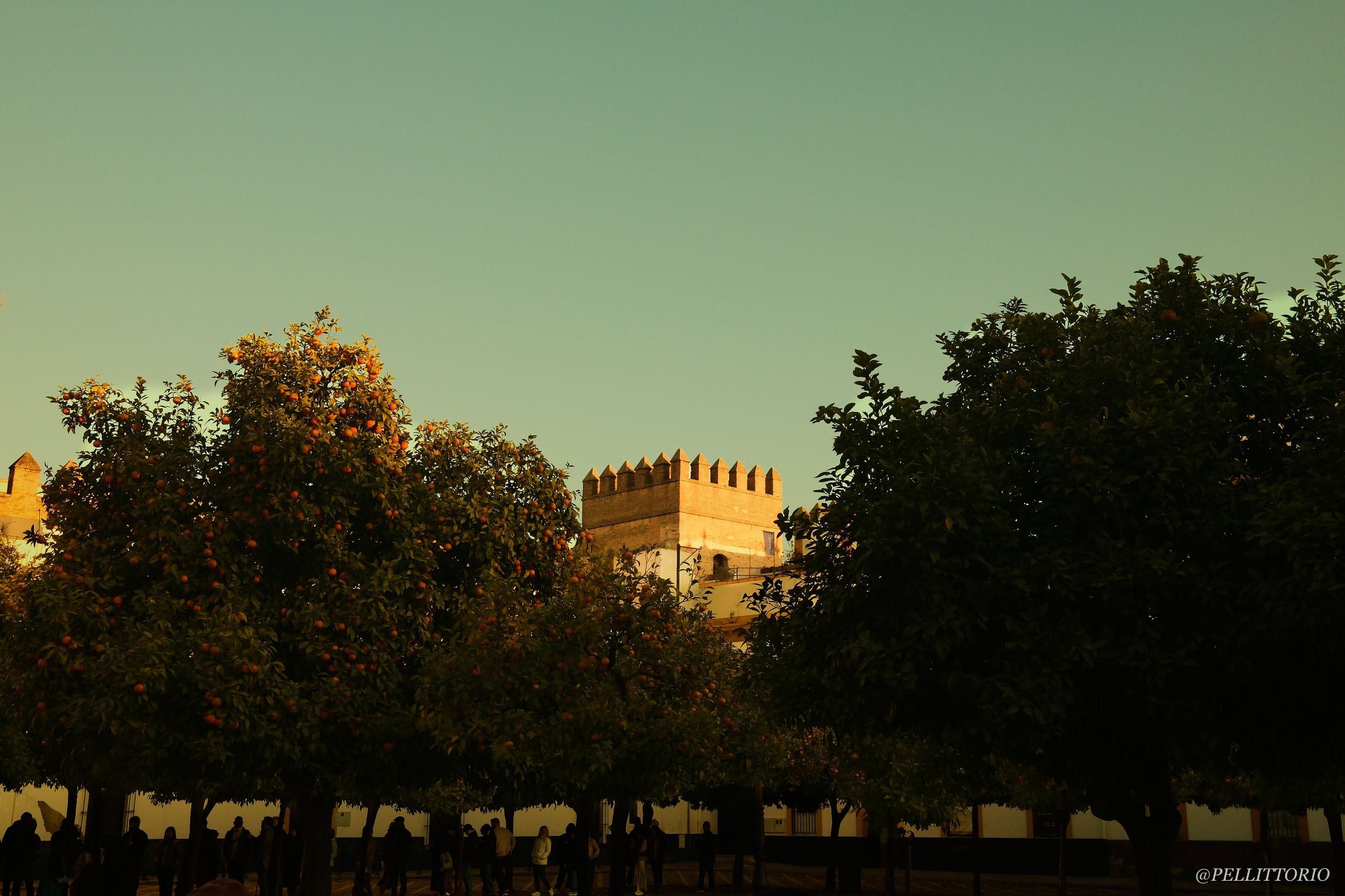 Mura dell'Alcázar dietro gli aranci